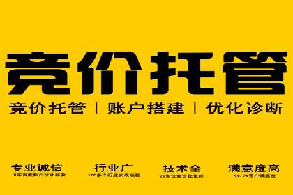 百度推广公司的成功案例：如何实现广告投资回报最大化